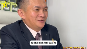 [𝐁𝐄𝐒𝐓 𝐒𝐄𝐋𝐋𝐄𝐑] *KKM马来西亚卫生部认证*9星猫须茶 9 Star Misai Kucing Tea 60 Packs