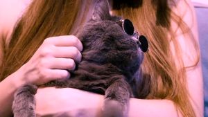 Virbac Milpro Tablet Obat Cacing Untuk Kucing 1 TABLET