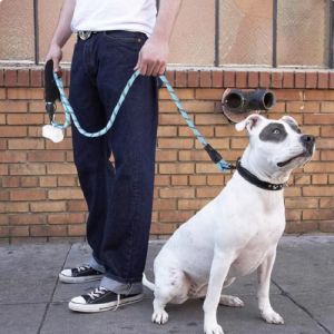 Lovinland Pet Nylon Phản Quang dây kéo Cho Nhỏ Vừa Vừa Thông Tư Dây Xích Chó tay cầm thoải mái dây buộc chó con Pet nguồn điện ngoài Trời 1.5M Dài 1.2Cm Chiều Rộng