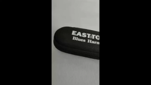 EastTop Blues T008K 10H Harmonica Diatonic