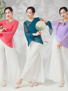 Elegant Classical Dance Top Womens Practice Suit Drifting Performance Costume Dance Show Outfit Tea Art Silk Clothing