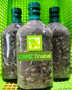 Capiz Tinabal Bagoong Ginamos