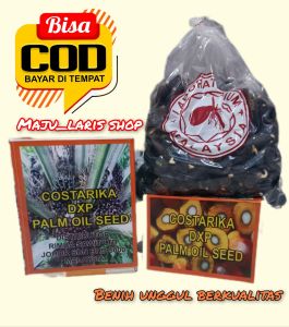 Bibit unggul kostarika benih berkualitas isi 250 siap semai