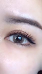 Lvcheryl Set Ekstensi Bulu Mata Palsu DIY Alami dengan Lem Kit Profesional Bulu Mata Tunggal 10-15mm 60 Buah Alat Rias Pesta