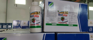 Same Effect of ORTIVA TOP 325SC (AZOXYSTROBIN + DIFECONAZOLE) BESTIDEA     INSECTICIDE