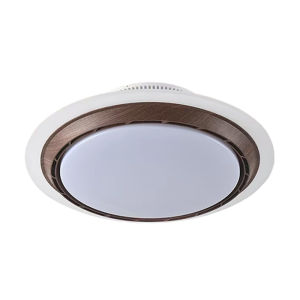 EUROB | Bladeless Silent 6-Speed Dimmable Ceiling Fan Light