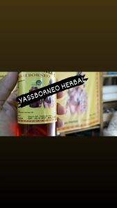 Terlaris Minyak Urut Dayak Perisai Borneo Asli Akar Kayu Kalimantan Bersertifikat Resmi Indonesia