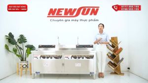 Máy rửa bát chén siêu âm chậu đôi NS-1800SS NEWSUN