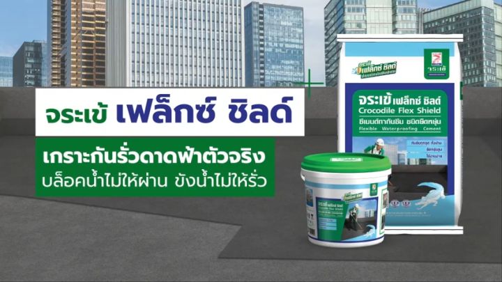 จระเข้ เฟล็กซ์ ชิลด์ ซีเมนต์กันซึมยืดหยุ่น สีเทา ทน UV