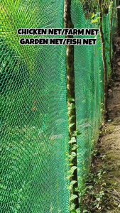 20M/50M/100M Chicken Net Range Net for Chicken Lambat Outdoor Poultry Net Ranging Net