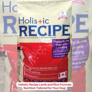 Holistic Recipe - Puppy and Pregnant Lamb Meal and Rice Dry Dog Food (1KG)