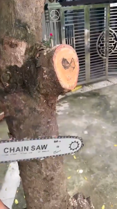 👍🏻👍🏻NERE 12" Brushless Chainsaw Cordless Electric Chain Saw Garden Pruning Saw Woodworking Power Tool 大功率电锯