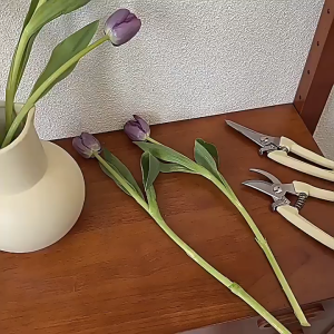 กรรไกรตกแต่งกิ่งสแตนเลส สำหรับตกแต่งกิ่งไม้ มีตัวล็อคเปิด-ปิดใบมีดนิรภัย กรรไกรตกแต่งกิ่ง 2 แบบ ปากโค้ง 17 cm / ปากตรง 19 cm พร้อมส่งในไทย!!