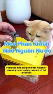 Máy Uống Nước Tự Động 1.5L Cho Chó Mèo - Giải Pháp  Cho Thú Cưng
