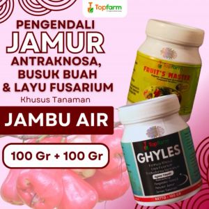 Fungisida Topfarm / Obat Jamur Pohon Jambu Air / Obat Jamur Pohon Jambu / Obat Hama Akar Batang Jambu Air / Obat Jamur Pada Pohon Jambu Air / Obat Jamur Jambu Air / Obat Jamur Pada Batang Jambu Air