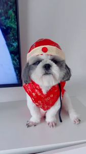 เสื้อตรุษจีนหมาแมว ชุดแฟนซีสัตว์เลี้ยง ชุดจีนสุนัข จีนหมาใหญ่ ใส่ได้ แบบ เครื่องหัวจีน หมวกมังกรจีน ฮ่องเต้ ฮองเฮา จักรพรรดิ สิงโต