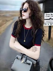 Slim Fitting Navy Round Neck Iced Silk Short Sleeve Knit Top