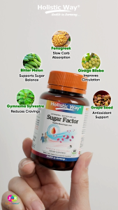Holistic Way Sugar Factor with Gymnema & Bitter Melon – Supports Healthy Blood Sugar Levels & Glucose Metabolism — Vegan (60 Vegetarian Capsules per bottle)