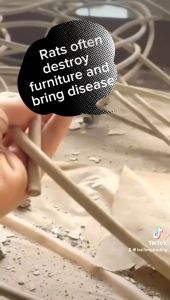 【 In Stock 】(16g/40g pack) Hot Selling Rodenticides Natural Rodenticides Mice Balls Powerful Insect And Rat Repellent Pills Safe Home Rat Repellent Pills Pil Penghalau Tikus