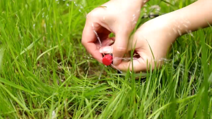 100/300PCS Adjustable Micro Drip Irrigation System Watering Sprinklers Anti-Clogging Emitter Dripper 8-hole Drip Irrigation Nozzles Greenhouse Emitter