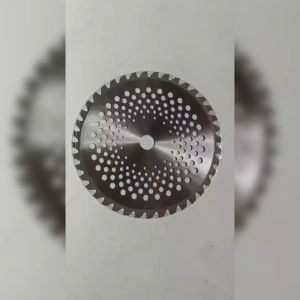 Mata Pisau Mesin Potong Rumput Bulat Bundar PRO 10 Inch 40T "10" 40 T 255mm Brush Cutter Blade 255 mm stainless lubang lubang bolong