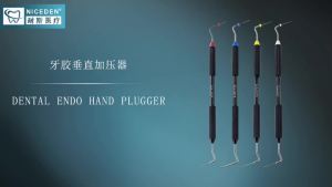 Dental Buchanan Hand Plugger Vertical Pluggers 4 Sizes Root Canal Filler Stainless Tip Fill Obturation Endodontic