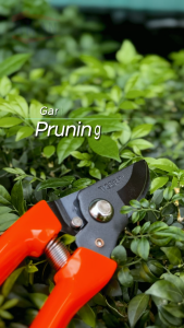 Pruning Shears Garden Scissors Branches Cutter Plant Trimmer Garden Hand Tools Pruner Gunting Pokok Bunga Tiger 园艺剪刀