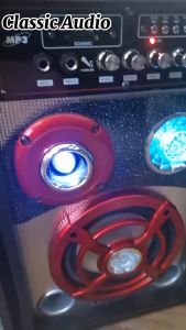 Classic Audio Lavisha LJ-611: The Ultimate Super Heavy Duty Speaker