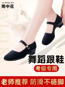 Black Foam Bottom Folk Dance Shoes Professional Exam Dance Shoes Northeast Rice Crop Dance Cloth Shoes Guizhou Ethnicity