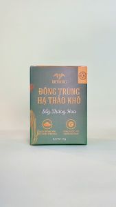 Đông trùng hạ thảo sấy thăng hoa Dr. Trung Loại Đặc Biệt - Dành cho người bệnh cơ thể suy nhược