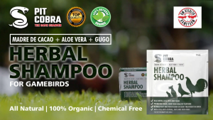 Pit Cobra Herbal Shampoo 1 sachet - Tunay na Natural Hindi Kemikal na Shampoo—Para sa Alagang Malinis at Protektado!