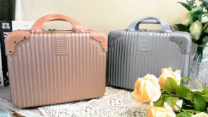14 Inch Hand Carry Luggage with Back elastic strap Large Capacity Portable Carrying Case Makeup Bag 行李箱 化妆箱