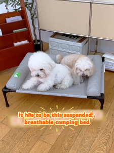Pet Cot Elevated Dog Bed for Small to Medium Dogs Cats All Season Off Ground Breathable Summer Design Moisture Resistant Easy Clean