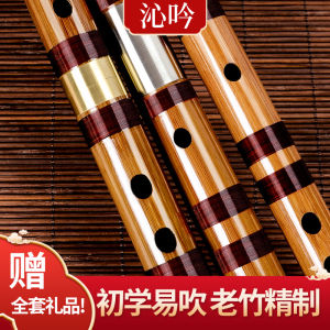 Professional GDCF Tuned Bamboo Flute for Beginners Adult And Children Short Professional Transverse Flute Quality Craftsmanship