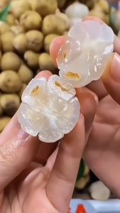 Bibit Buah Duku Non Biji Unggul Original