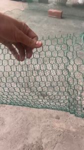 ( Khổ cao 50cm - dài 1m) Lưới kẽm bọc nhựa xanh cao cấp chuồng gà vịt hàng rào.