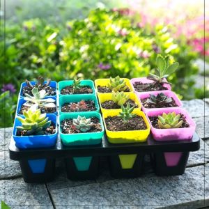 กระถางเหลี่ยม 2.5นิ้ว กระถางพลสติกใบเล็ก กระถางเล็ก กระถางเพาะชำ กระถางเหลี่ยม2นิ้วครึ่ง หลายสี