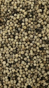 白胡椒粒 100g White pepper Sarawak Lada Putih 砂拉越 胡椒粒