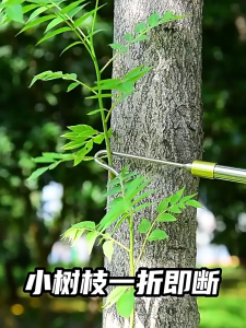 BABEDUO Pruning Saw with Pole Multifunctional Stainless Steel Super-hard Telescopic Rod Fruit Picking Rod High Branch Saw