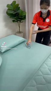 Bộ ga chống thấm kèm gối chính hãng PT bọc đệm chống thấm cao cấp bé tè lau là sạch mềm mịn mát không nóng không bí (mẫu trơn matcha)