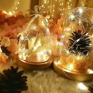 KAMJE Lampu Tumbler Kawat Mini 10 Meter 100 LED Hias Dekorasi Kamar Tidur Warna Warni