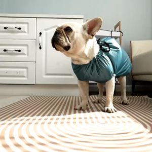 🌈PetParadise✨ ถุงเป่าลมอุ่นสำหรับสุนัข ชุดเป่าแห้ง ถุงเป่าขนสัตว์เลี้ยงPet drying Bag