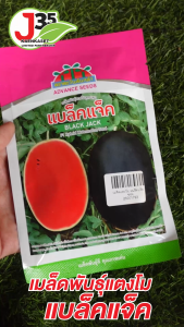 (1ซอง)เมล็ดพันธุ์แตงโม แบล็คแจ็ค 40 กรัม ตราตะวันต้นกล้า เมล็ดพันธุ์แตงโมลูกผสม
