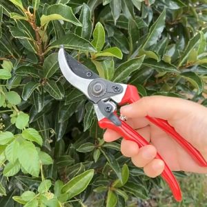 Rhino กรรไกรตัดกิ่ง/แต่งกิ่ง 8 นิ้ว No.601 พร้อมใบมีดและสปริงสำรอง ของแท้100%