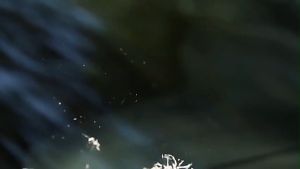 XYKJ Lem Kacamata Retak Lem Kacamata Mobil Depan Lem Ajaib Cairan Penghilang Lem Kaca Mobil