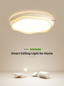 Creative Full Spectrum Ceiling Light