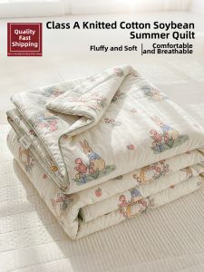 HAOMIAN | Washable Thin Summer Cooling Quilt