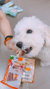 COMBO 5 & 10 GÓI XƯƠNG GẶM ORGO CHO CHÓ GÓI 90GRAM Xương Gặm Cho Chó Hương Vị Đa Dạng Sản Phẩm Chăm Sóc Răng Miệng Cho Chó - Lazada