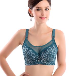 🇲🇾STOCK KL FELLO Women Lady Plus Size Seamless (CDE) Thin Cup Push Up Deep V Dawai Besi Comfortable Wired Lace Bra (FREE EXTENDER)
