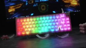 Womier VK66 Pro Bàn Phím Cơ Có Dây RGB Có Thể Hoán Đổi Nóng Qua Hỗ Trợ VIA Gasket Mount Có Núm Cho Máy Tính Để Bàn Laptop Máy Tính Bảng